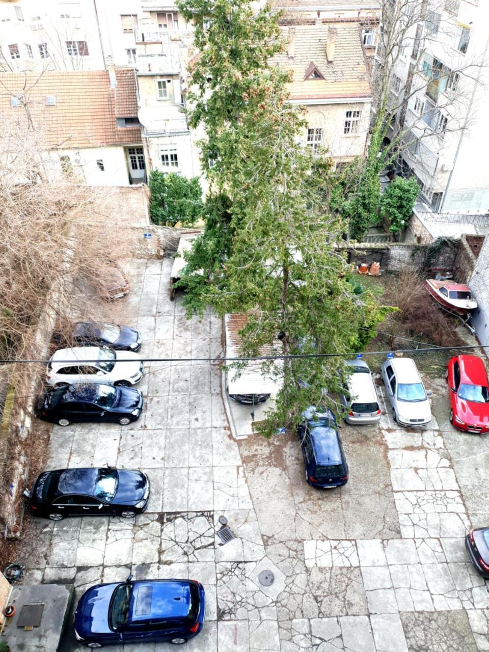 Ferienwohnung Dream Apt With Parking Belgrad Exterior foto